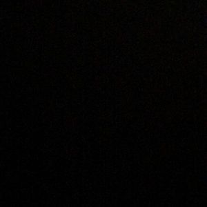 Meet your Posher, Terrell